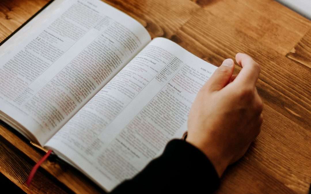 Bible Reading